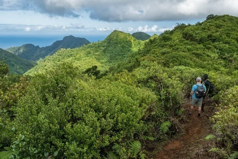 Grand Étang rainforest